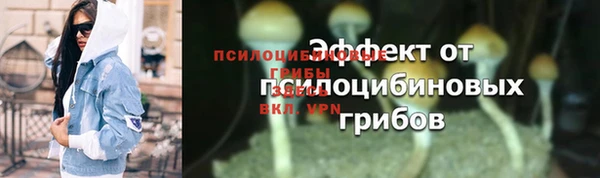 сатива Верхнеуральск