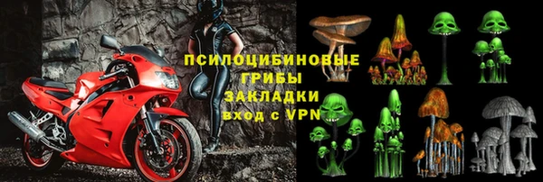 сатива Верхнеуральск