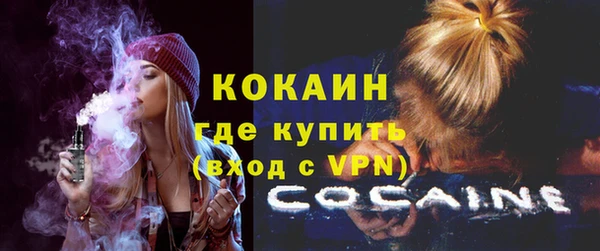 мдпв Бородино